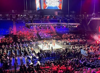 An indoor arena is filled with people watching a wrestling match. The ring is centrally located, and surrounded by audience members sitting in tiered seating. The arena is illuminated with red and blue lights, and a large overhead screen displays 'Sunday Stunner.' Spectators are engrossed in the match taking place in the well-lit ring.