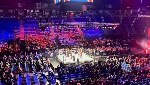 An indoor arena is filled with people watching a wrestling match. The ring is centrally located, and surrounded by audience members sitting in tiered seating. The arena is illuminated with red and blue lights, and a large overhead screen displays 'Sunday Stunner.' Spectators are engrossed in the match taking place in the well-lit ring.