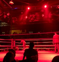 A wrestling ring is illuminated with red lighting, creating a dramatic atmosphere. Several people are visible around the ring, with silhouetted spectators in the foreground. Banners or art adorn the upper walls, and the venue has an industrial ceiling with exposed beams.