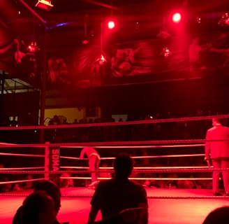 A wrestling ring is illuminated with red lighting, creating a dramatic atmosphere. Several people are visible around the ring, with silhouetted spectators in the foreground. Banners or art adorn the upper walls, and the venue has an industrial ceiling with exposed beams.